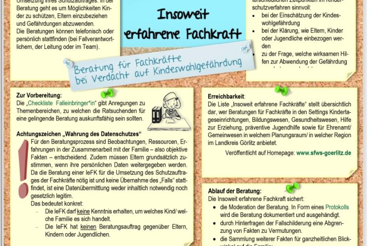 Insoweit erfahrene Fachkraft - auf einen Überblick